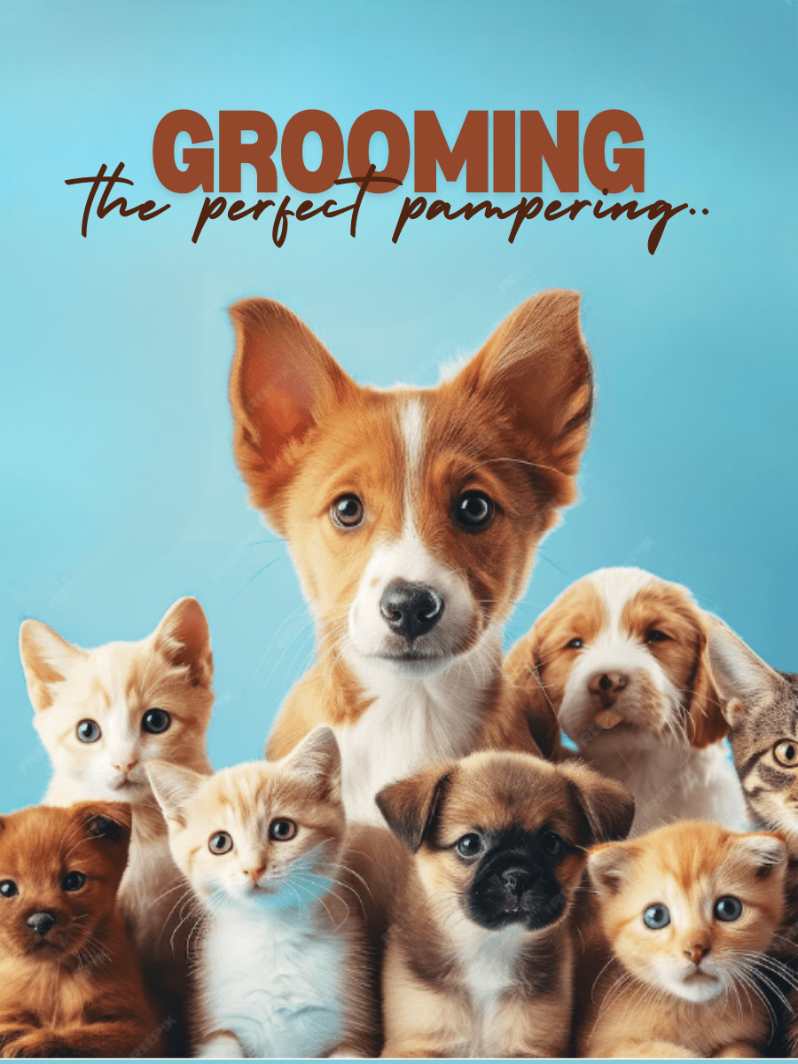 UrbaneStore | Best Online Pet Store | Grooming Tools, Accessories and Equipments for Pets