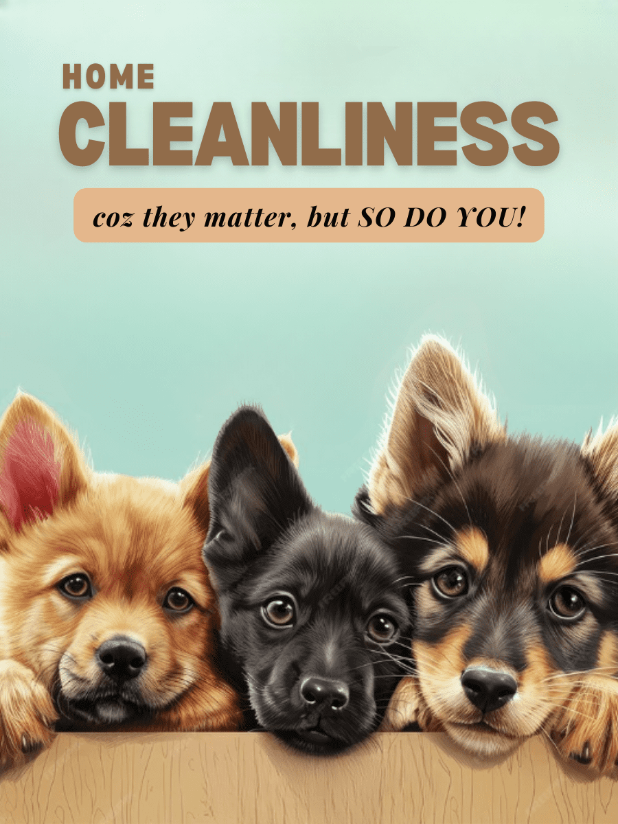 UrbaneStore | Best Online Pet Store | For Pet-Owners and Pets | Home Hygiene and Cleanliness