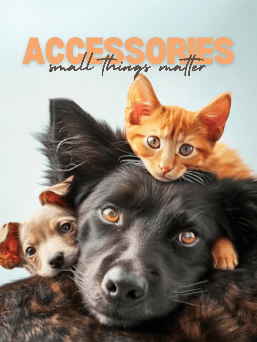 UrbaneStore | Best Online Store for Pets | Pets Accessories, Pet Tools, Pet Toys etc. | High Quality, Trustworthy, Cost Efficient 