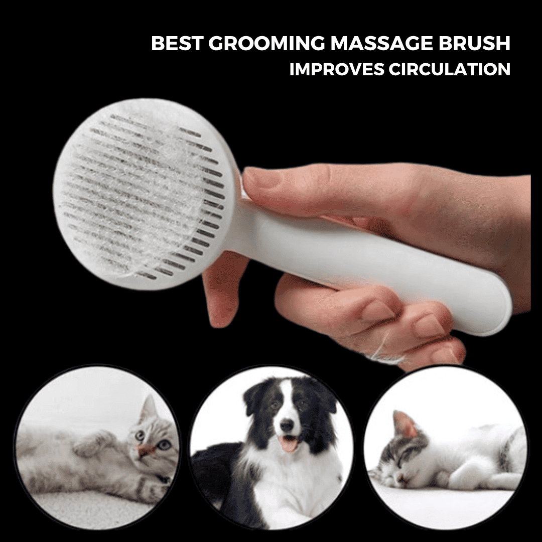 SELF-CLEANING HAIR BRUSH FOR PETS | BEST GROOMING COMB FOR DOGS, CATS