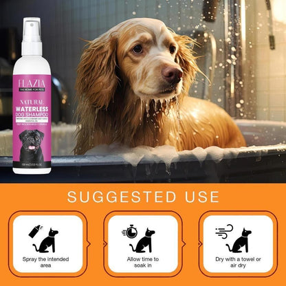 Pet owner spraying Flazia Pets natural waterless dog shampoo on dog’s coat for easy cleaning.