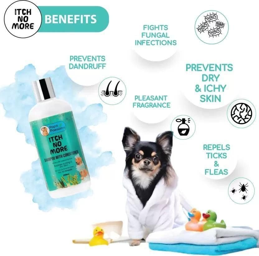 Natural ingredients like neem, aloe vera, and oatmeal used in flea and tick dog shampoo for gentle skin care.