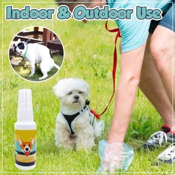 Bottle of natural potty training spray for dogs and cats, safe and effective for both indoor and outdoor areas to encourage proper toilet habits.