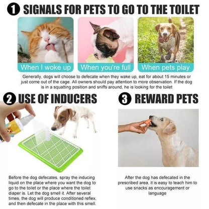 Bottle of natural potty training spray for dogs and cats, accompanied by a sign to guide pets to the toilet area and encourage proper potty habits