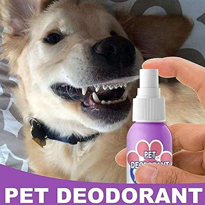 Natural oral care spray for dogs and cats, reduces bad breath, controls plaque, and promotes healthy teeth and gums.