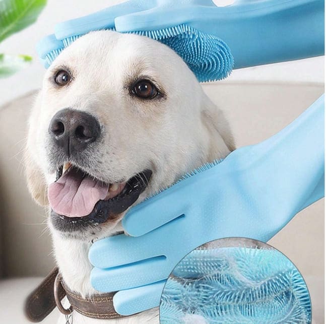Dog being groomed with a blue grooming brush and glove, close-up of brush texture shown.