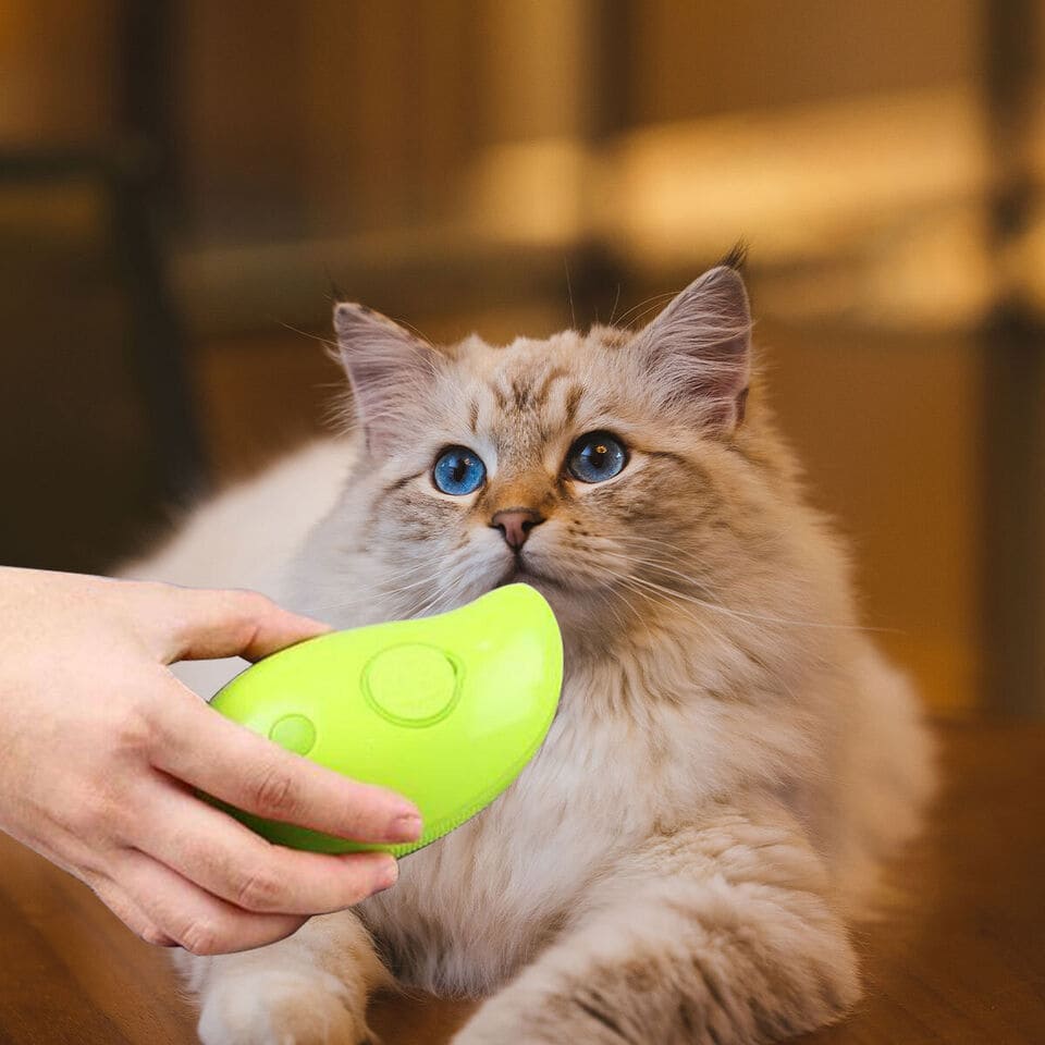 STEAMY Pets’ hair brush with ergonomic handle and steam function, designed for grooming pets while reducing shedding and detangling fur.